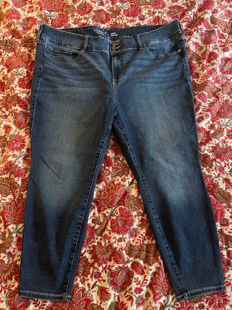 Torrid Jeggings 24s